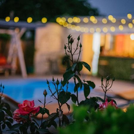 Vila Primavera Vama Veche Exterior photo